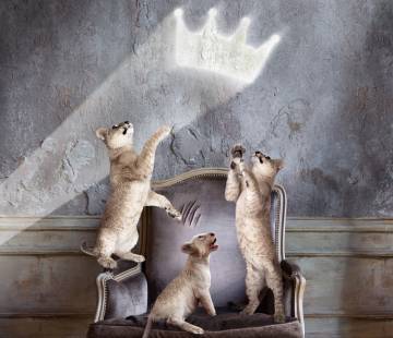 Az oroszlán télen - ajánló